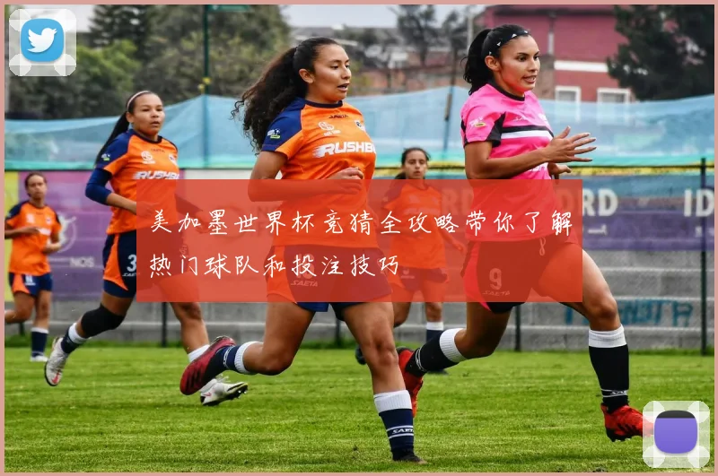 美加墨世界杯竞猜全攻略带你了解热门球队和投注技巧