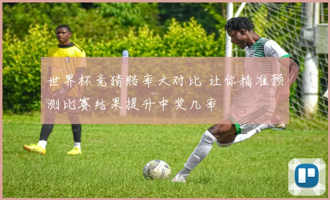世界杯竞猜赔率大对比 让你精准预测比赛结果提升中奖几率